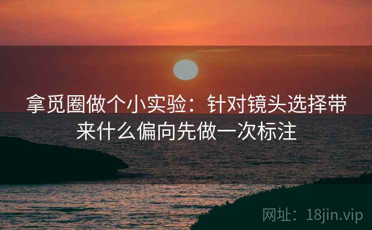 拿觅圈做个小实验:针对镜头选择带来什么偏向先做一次标注 拿觅圈做个小实验:针对镜头选择带来什么偏向先做一次标注